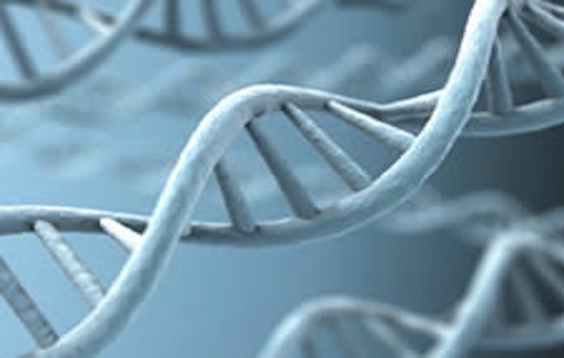 DNA blue helices